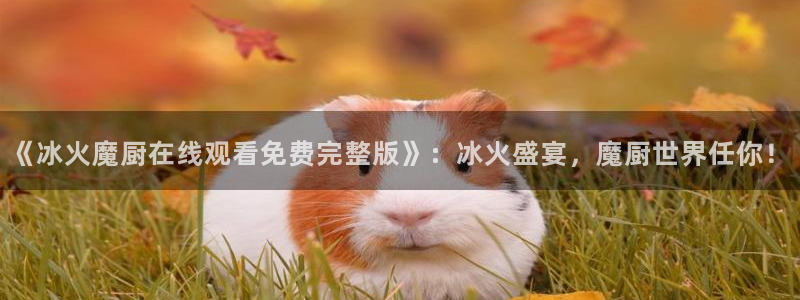 动漫屋目官方网：《冰火魔厨在线观看免费完整版》：冰火盛宴，魔厨世界任你！