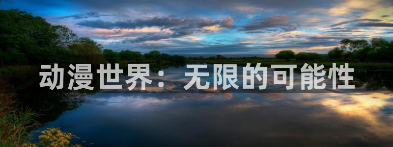 动漫屋：动漫世界：无限的可能性